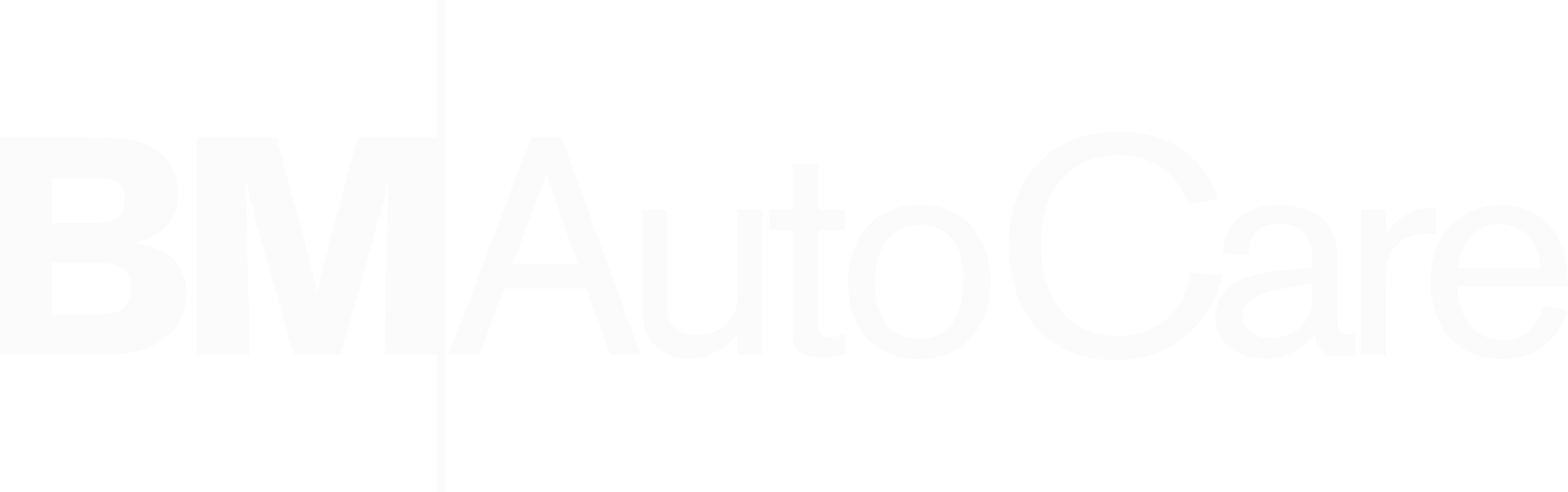 BM AutoCare